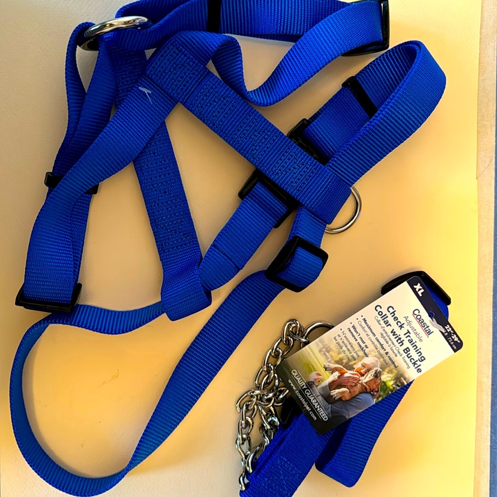 Brand new XL Coastal training collar with buckle and harness
